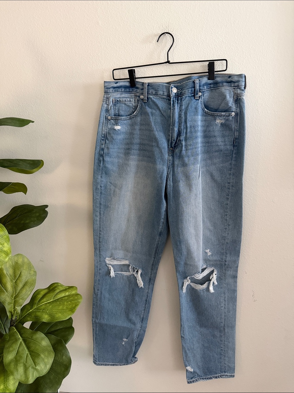 American Eagle Distressed Mom Jean